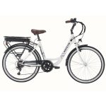 Wayscral Everyway E100